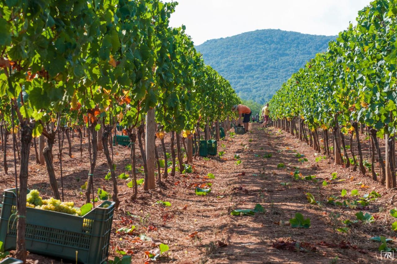 Tenuta La Chiusa Portoferraio Dış mekan fotoğraf